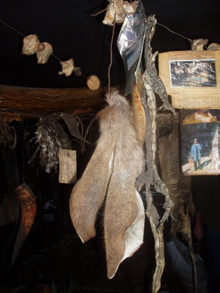 KeHa_in_South_Africa - 122